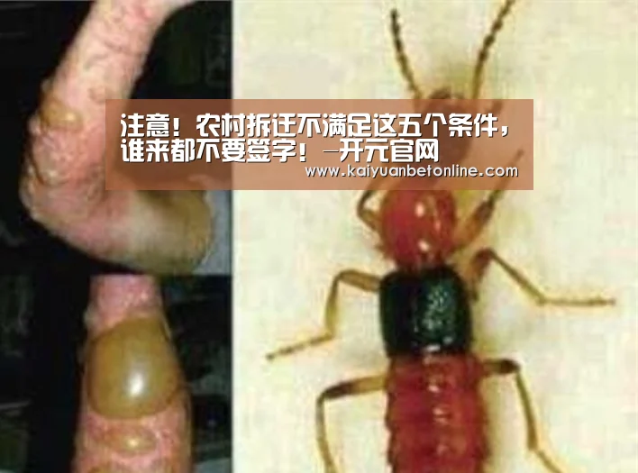开元APP