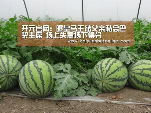开元官网